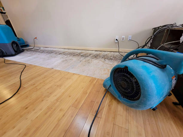 Professional Emergency Water Damage technician working in Altoona, WI